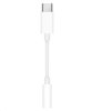 APPLE USB-C to 3.5 mm Headphone Jack Adapter