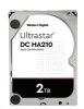 Western Digital Ultrastar® HDD 2TB (HUS722T2TALA604) DC HA210 3.5in 26.1MM 128MB 7200RPM SATA 512N SE (GOLD WD2005FBYZ)