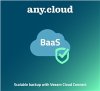 Anycloud BaaS | BaaS for Veeam Agent for Servers (1SRV/12M)