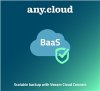 Anycloud BaaS | BaaS for Veeam Storage (1TB/12M)