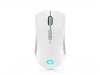 Lenovo Legion M600 Wireless Gaming Mouse (Stingray)