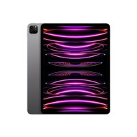 APPLE iPad Pro 11" Wi-Fi 2TB nanotextura - Space Black 2024