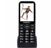 EVOLVEO EasyPhone LT, mobilní telefon pro seniory s nabíjecím stojánkem, černá