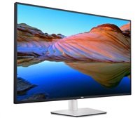 DELL LCD U4323QE - 42.51"/IPS/LED/4K/3840x2160/16:9/60Hz/8ms/1000:1/350cd/m2/DP/Speaker/HDMI/PivotVESA/3YNBD (210-BFIS)