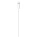 apple-usb-c-na-lightning-kabel-1-m-56000830.jpg