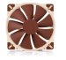 noctua-nf-a20-flx-ventilator-55849960.jpg