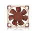 noctua-nf-a4x10-pwm-ventilator-40x40x10-mm-55847772.jpg