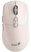 genius-mys-nx-8080s-bt-dualni-bluetooth-2-4ghz-1600-dpi-copilot-bezdratova-ticha-bezova-56251703.jpg