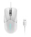 lenovo-legion-m300s-rgb-gaming-mouse-white-56268454.jpg